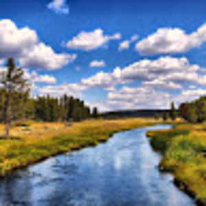 Meet your Posher, Natalia